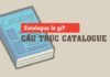 Catalogue là gì? Cấu trúc gồm những nội dung gì?