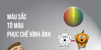 Tìm hiểu màu sắc, tô màu và phục chế hình ảnh