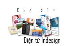 Indesign và ấn phẩm marketing
